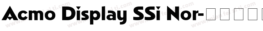 Acmo Display SSi Nor字体转换